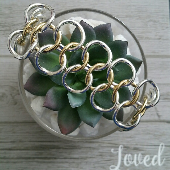 Premier Designs Jewelry - Preimer Designs Gold/Silver Tone Link Bracelet